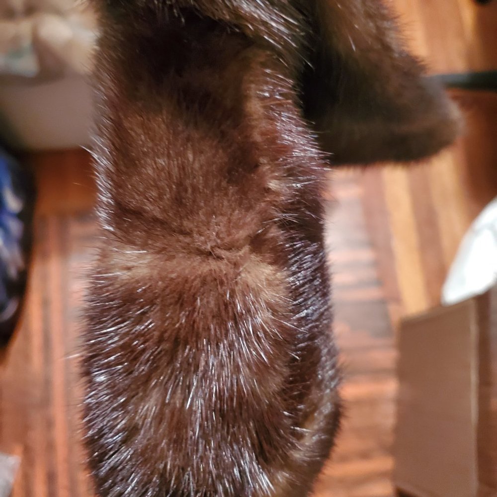 Dark Brown Mink Stoller (Size 12) - Picture 6 of 8